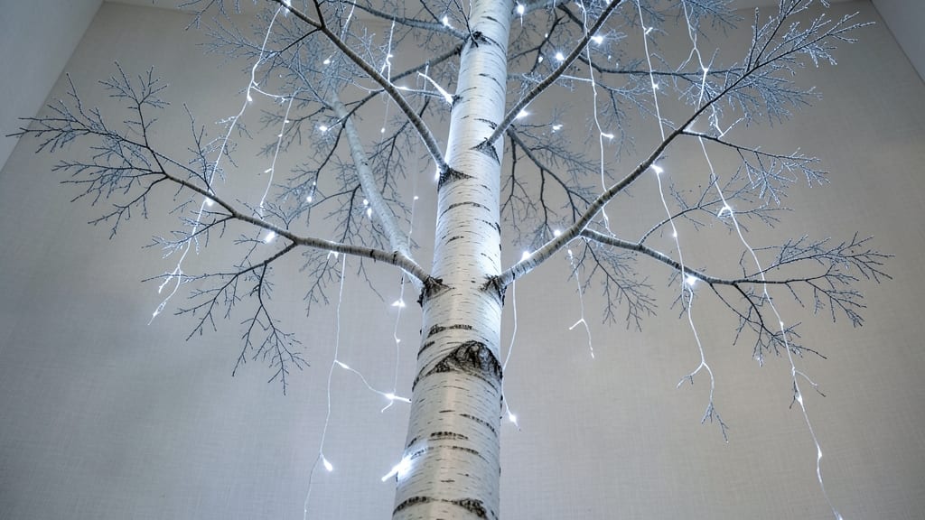 Nordic Birch Tree With Snow Lights